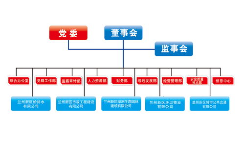 新区正文模板