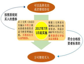 上交所 债券市场投资者适当性管理办法 2017年修订 答记者问 上